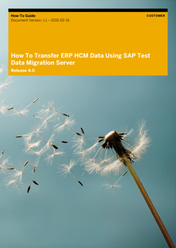 How To Transfer ERP HCM Data Using SAP Test Data Migration Server