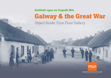Gaillimh Agus An Cogadh Mór Galway & The Great War