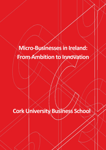 Micro-Businesses In Ireland: From Ambition To Innovation