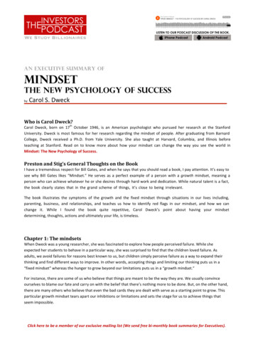 An Executive Summary Of Mindset - Stig's Version