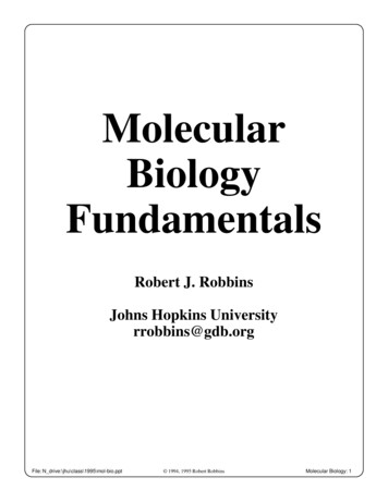 Molecular Biology Fundamentals