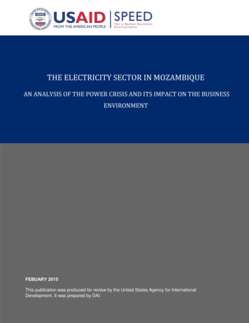 THE ELECTRICITY SECTOR IN MOZAMBIQUE