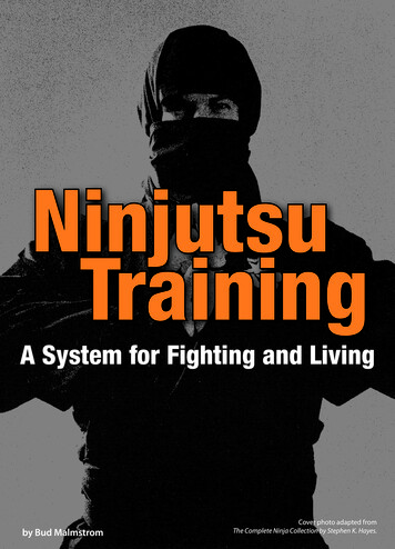Ninjutsu Training - Icspert