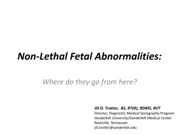 Non-Lethal Fetal Abnormalities - Michigan Sonographers 