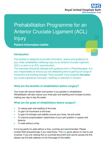 Rehabilitation For An ACL Injury - Royal United Hospital