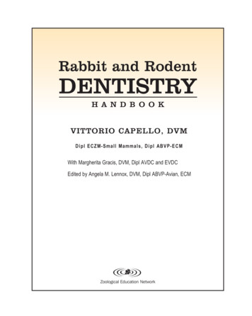 Rabbit And Rodent DENTISTRY