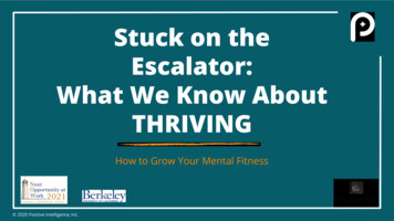 Stuck On The Escalator: What We Know About THRIVING