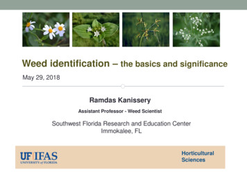 Weed Identification The Basics And Significance