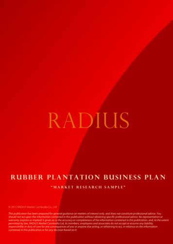 RUBBER CO, LTD Business Plan