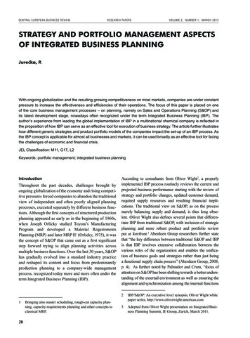 Strategy And Portfolio Management Aspects Of Integrated .