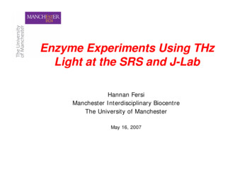 Enzyme Experiments Using THz Light At The SRS And J-Lab