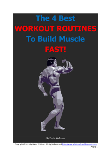 4 Best Workout Routines - What Really Builds Muscle