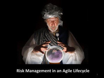 Risk Management In An Agile Lifecycle