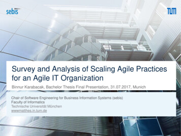 Survey And Analysis Of Scaled Agile Frameworks For An .