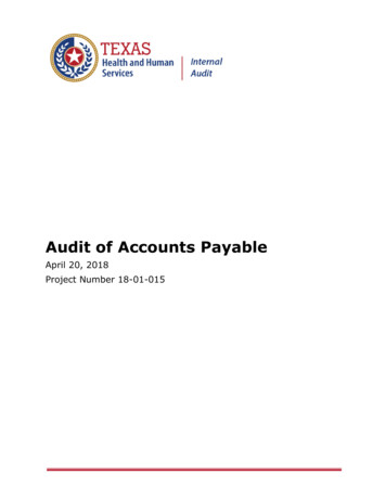 Audit Of Accounts Payable - Texas