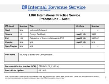 LB&I International Practice Service Process Unit – Audit