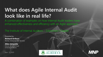 What Does Agile Internal Audit Look Like In Real Life?