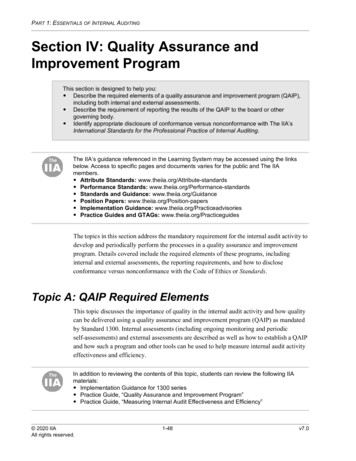 Section IV: Quality Assurance And Improvement Program