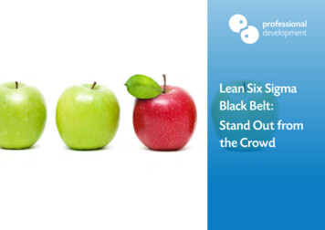 Lean Six Sigma Black Belt: Stand Out From The Crowd