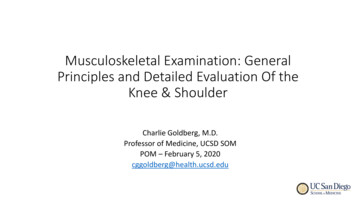Musculoskeletal Examination: General Principles And .