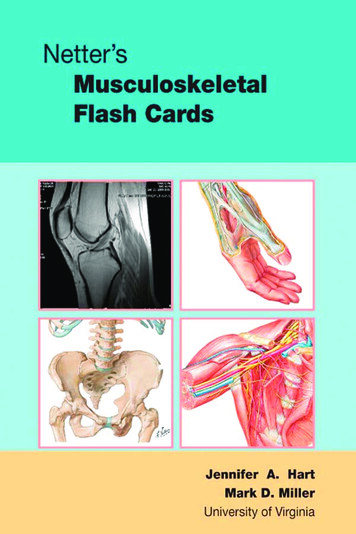 Netter's Musculoskeletal Flash Cards, 1E