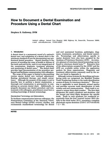 How To Document A Dental Examination And Procedure . - AAEP