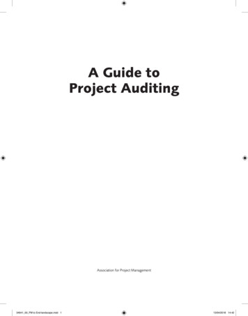 A Guide To Project Auditing - APM