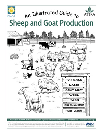 Sheep And Goat Production