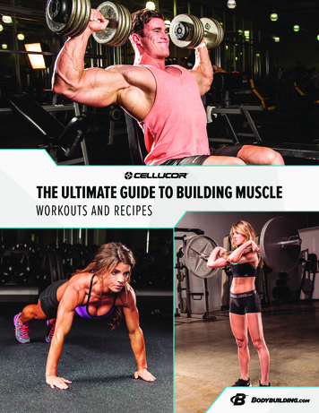 THE ULTIMATE GUIDE TO BUILDING MUSCLE - Bodybuilding 