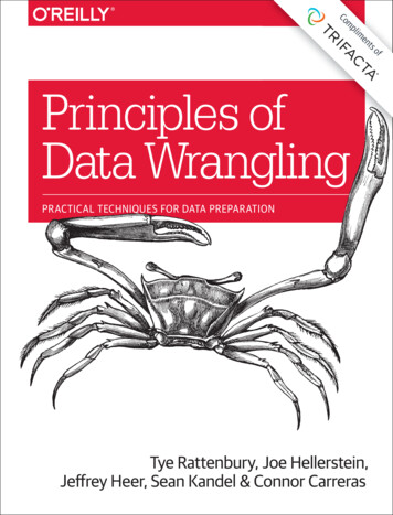Principles Of Data Wrangling - Banking Tech