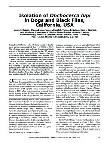 Isolation Of Onchocerca Lupi In Dogs And Black Flies, California, USA