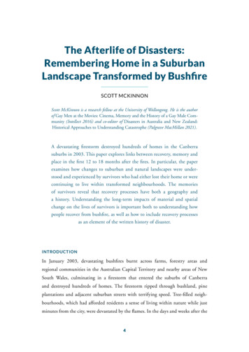 The Afterlife Of Disasters: Remembering Home In A Suburban