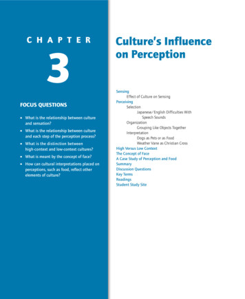 CHAPTER Culture’s Influence 13 On Perception