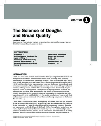 The Science Of Doughs And Bread Quality