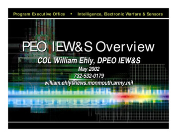 PEO IEW&S Overview