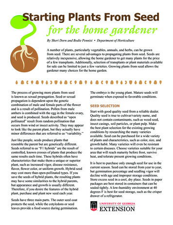 Starting Plants From Seed For The Home Gardener