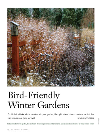 Bird-Friendly Winter Gardens
