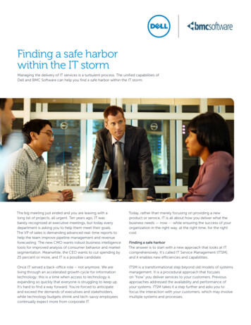 Finding A Safe Harbor Within The IT Storm - Dell