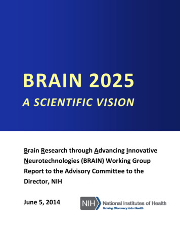 BRAIN 2025: A Scientific Vision