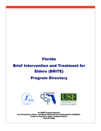 Florida Brief Intervention And Treatment For Elders (BRITE) Program .