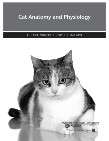 Cat Anatomy And Physiology