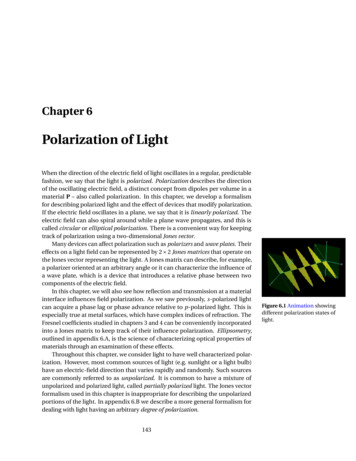 Polarization Of Light - PhysLab