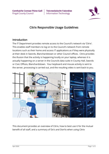 Citrix Responsible Usage Guidelines - Fingal