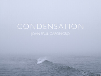 CONDENSATION - John Paul Caponigro