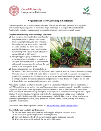 Vegetable And Herb Gardening In Containers