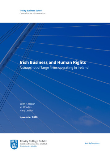 Irish Business And Human Rights - Trinity College Dublin