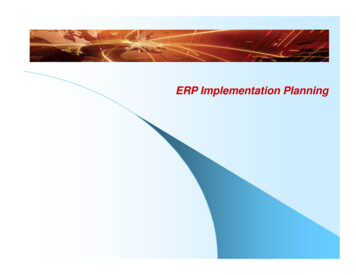 ERP Implementation Planning - Vimex Tec