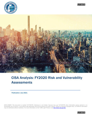CISA Analysis - FY2020 Risk And Vulnerability Assessments