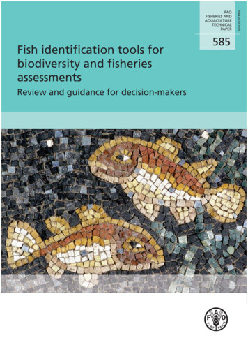 Fish Identification Tools For Biodiversity And Fishereis .