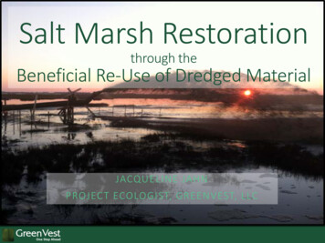 Salt Marsh Restoration - United States Army